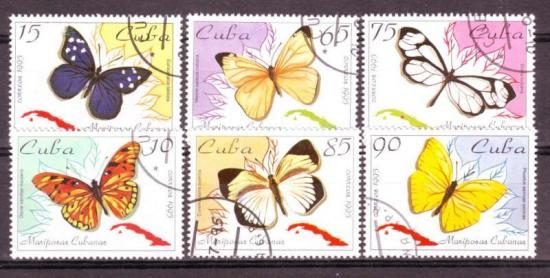Thema dieren16 Cuba 