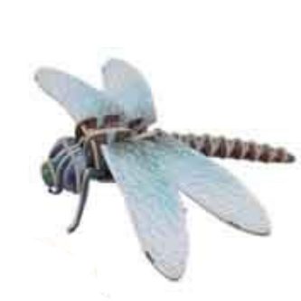 3D-Kit steekmodel Insect Libel - Houten speelgoed