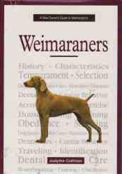 Weimaraner, Judythe Coffman