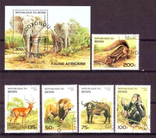 Thema dieren9 Benin 