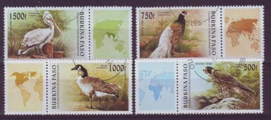 Vogels Burkina Faso 