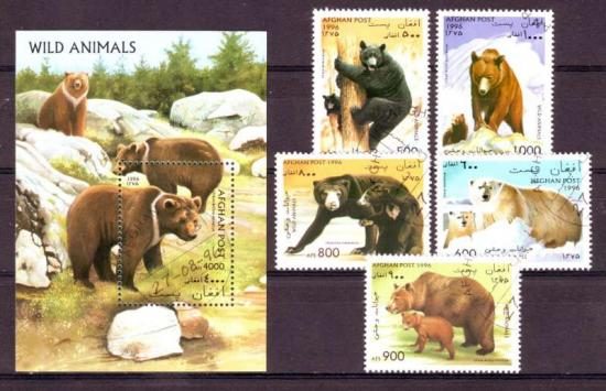 Thema dieren25 Afghanistan 
