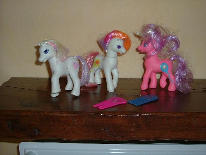 3 pony paardjes