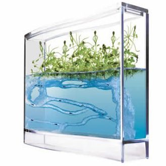 Antquarium Super Mierenwoud 