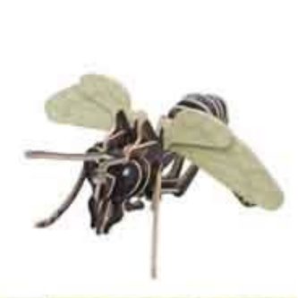3D-Kit steekmodel Insect Wesp - Houten speelgoed