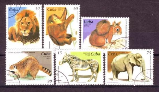 Thema dieren14 Cuba 