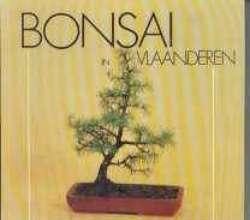 Bonsai in Vlaanderen