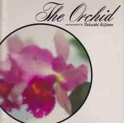 The orchid