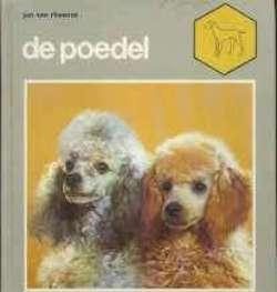 De poedel, Jan Van Rheenen