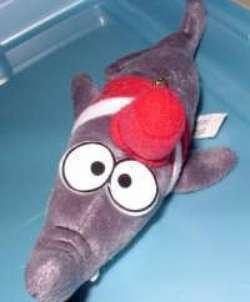 Haai (± 19 cm. lang)