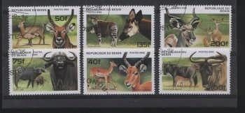 Thema wilde dieren6