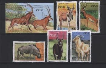 Thema wilde dieren5