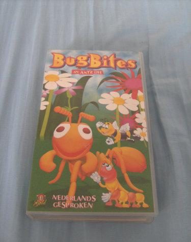 bug bites