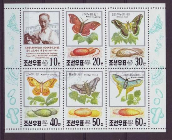Thema dieren Korea2  