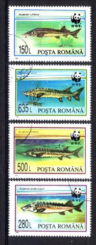 Thema dieren32 Roemenie WWF 