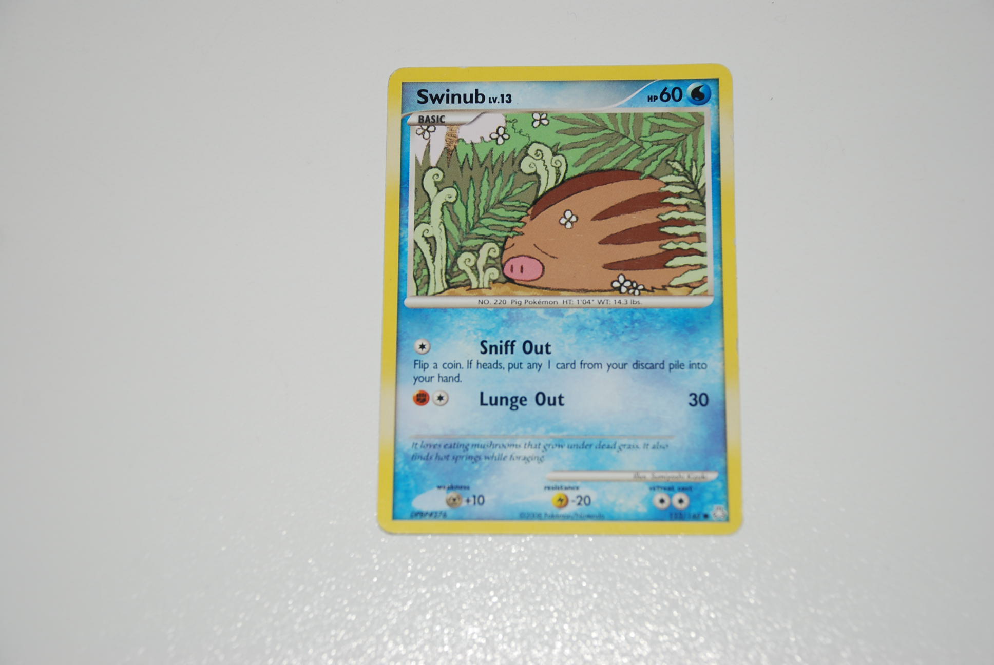 pokemon kaart swinub lv 13