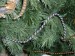 Foto 10 van 12 fotos kerstspullen