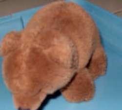 Bruin beertje