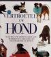 Foto 1 van Vertroetel uw hond, Eve Devereaux