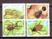 Foto 1 van Thema dieren24 Laos 