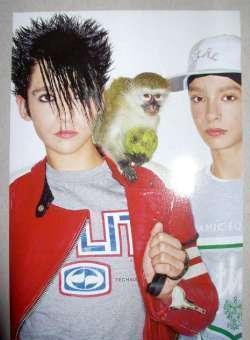 Tokio Hotel : Panini foto (10x15 cm.) (34)