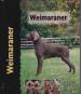 Foto 1 van Weimaraner, Lavonia Harper,