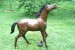 Foto 2 van bronzen paarden
