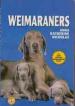 Foto 1 van Weimaraners, Anna Katherine Nicholas,