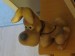 Foto 3 van Beeld hond 57