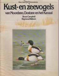 Kust- en zeevogels van Noordzee
