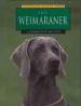 Foto 1 van The weimaraner, Charlotte Wilcox