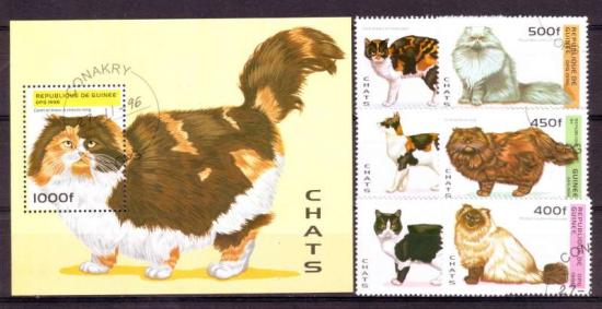 Thema dieren40 Guinee 