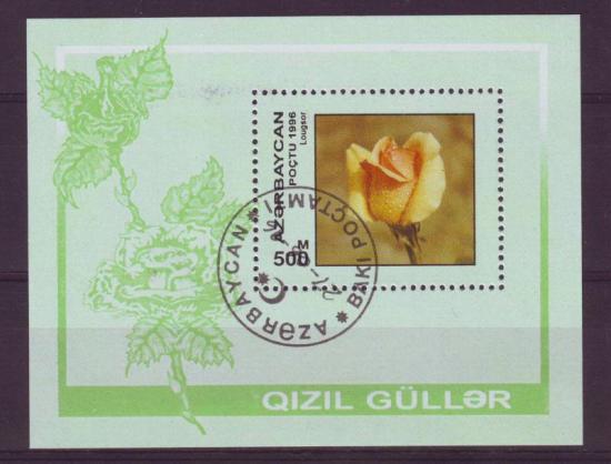 Bloemen Azerbeidjan 