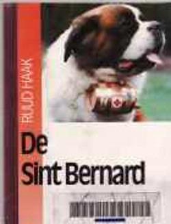 De Sint Bernard, Ruud Haak
