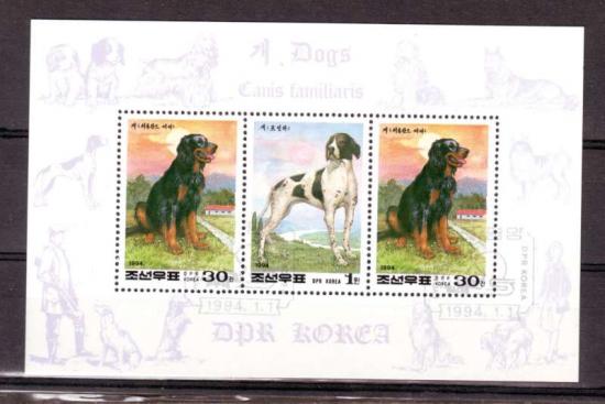 Themablok honden1 