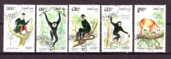Thema dieren3 Laos 