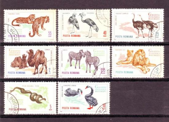 Thema dieren10 Roemenie 