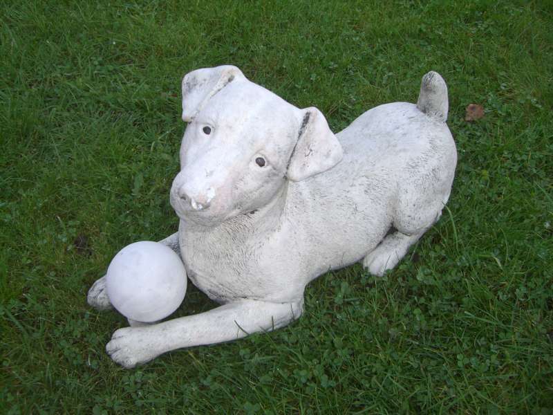 Tuinbeelden Jack russel 