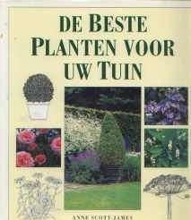 De beste planten voor uw tuin