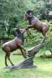Foto 3 van bronzen tuinbeelden
