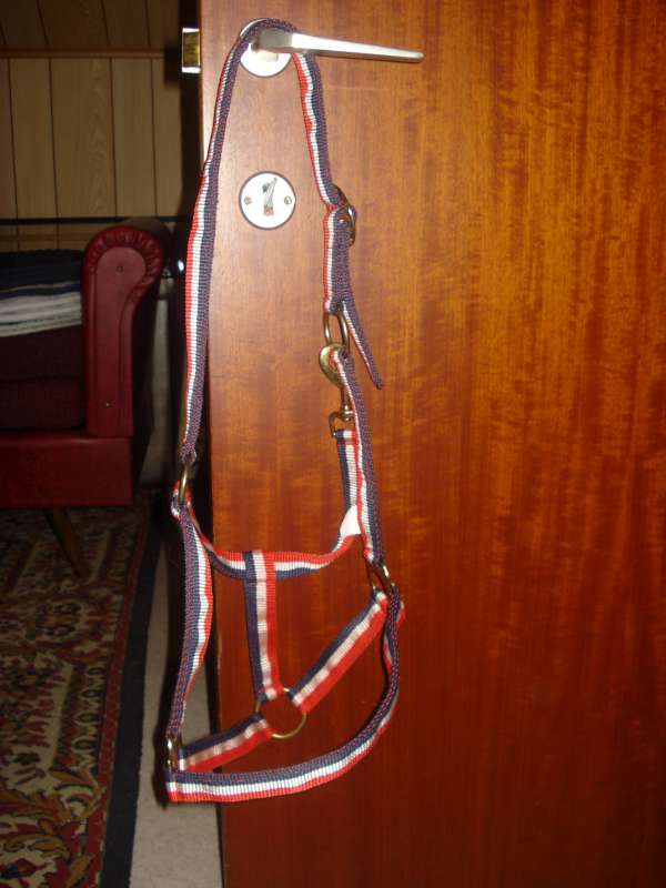 3 halsters te koop! NOG NIEUW, VOOR SPOTPRIJS!!