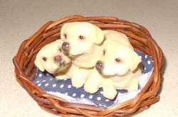3 hondjes in mandje