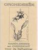 Foto 1 van Orchideeën