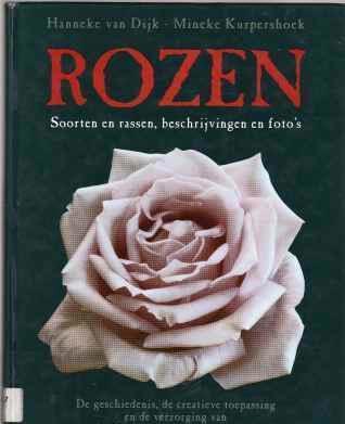 Rozen, Hanneke Van Dijk