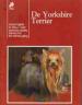 Foto 1 van De Yorkshire Terrier