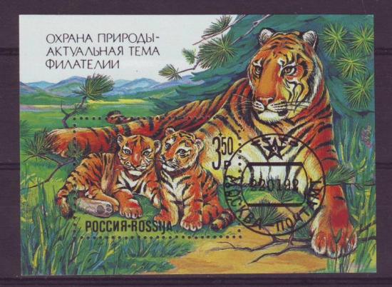 Thema dieren Rusland 