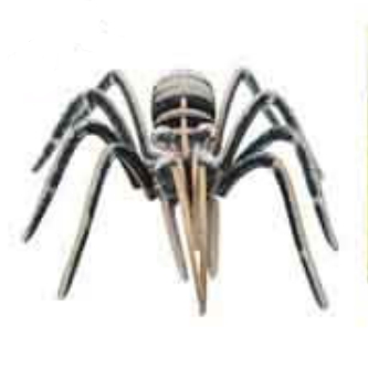 3D-Kit steekmodel Insect Spin - Houten speelgoed