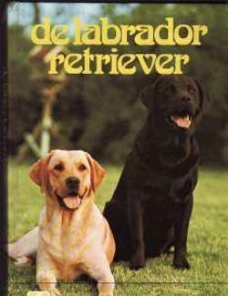 De labrador retriever