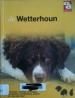 Foto 1 van De Wetterhoun