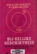 Foto 1 van Bij gelijke geschiktheid, Rosalind Barnett en Caryl Rivers